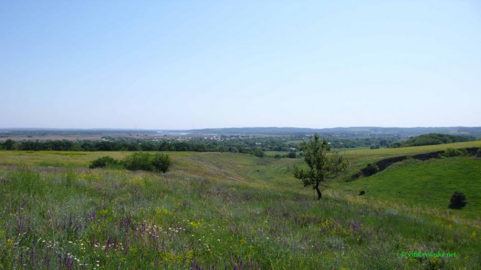Садки з panoramio.com - Садки