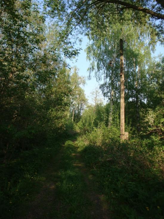 Дацьки з panoramio.com - Дацьки