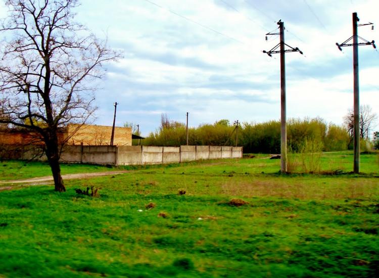 Тараща з panoramio.com - Тараща