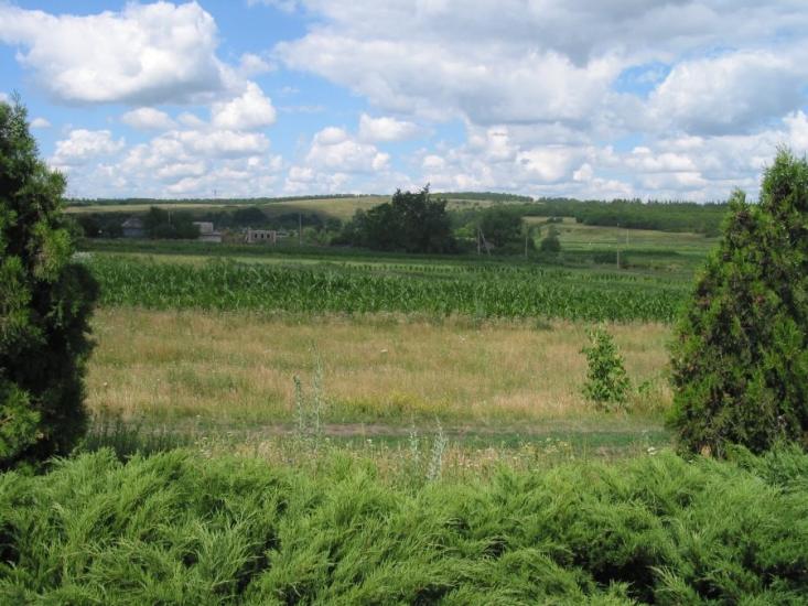 Красне з panoramio.com - Сонцівка