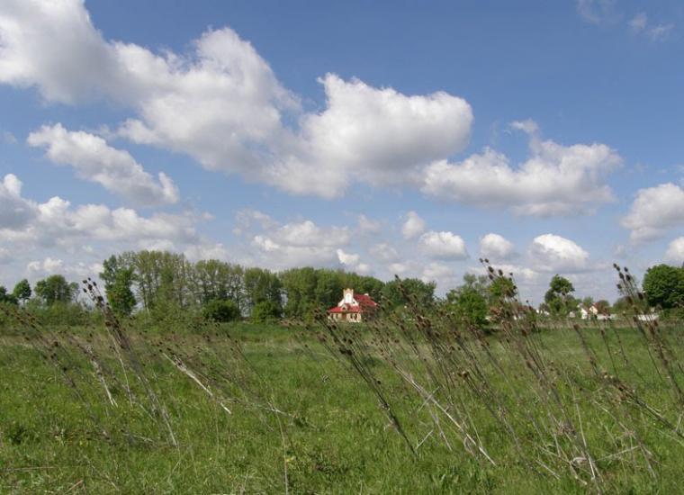 Стаївка з panoramio.com - Стаївка