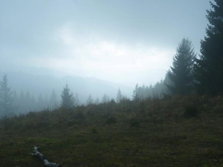 Лавочне з panoramio.com - Лавочное