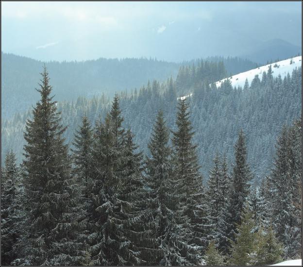 Кривопілля з panoramio.com - Кривопілля