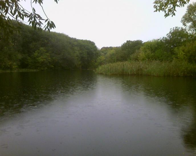 Піщанка з panoramio.com - Песчанка