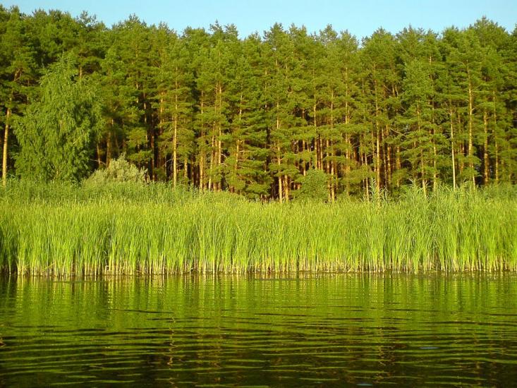 Гороховатка з panoramio.com - Гороховатка