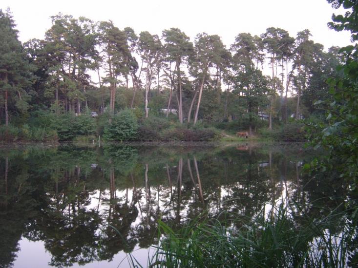 Козлин з panoramio.com - Козлин