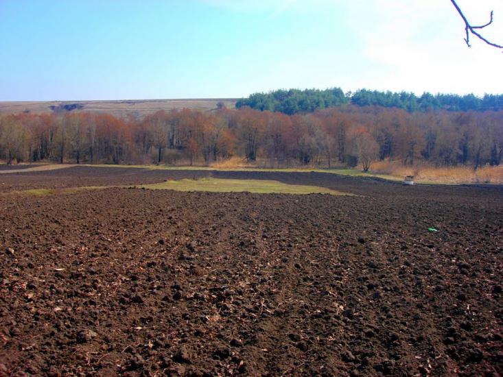 Осіївка з panoramio.com - Осіївка