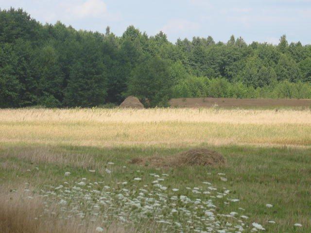 Камінь-Каширський з panoramio.com - Камінь-Каширський