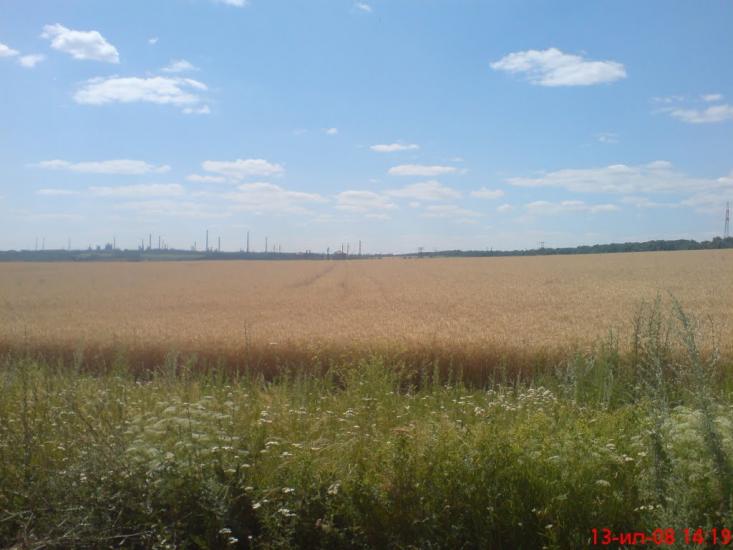 Тополівка з panoramio.com - Тополівка