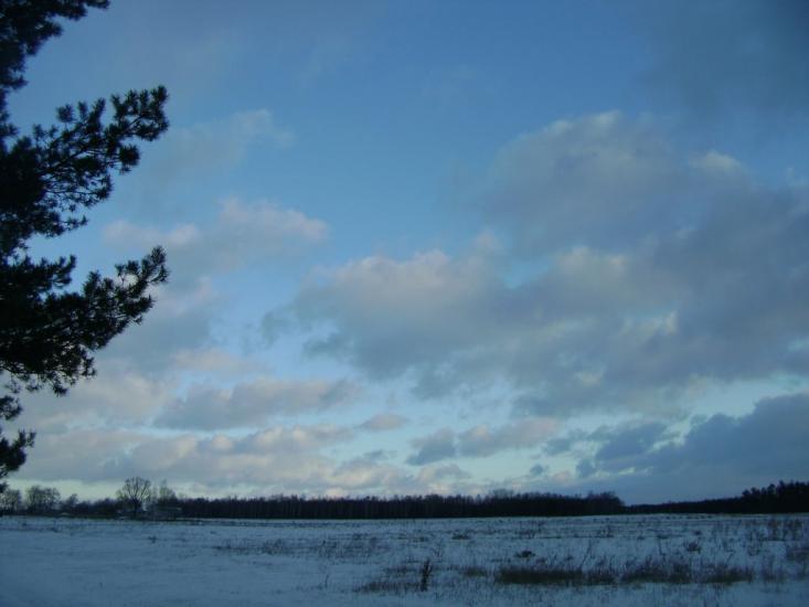 Березань з panoramio.com - Berezan