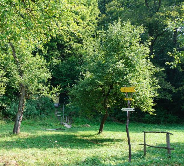 Домашин з panoramio.com - Домашин