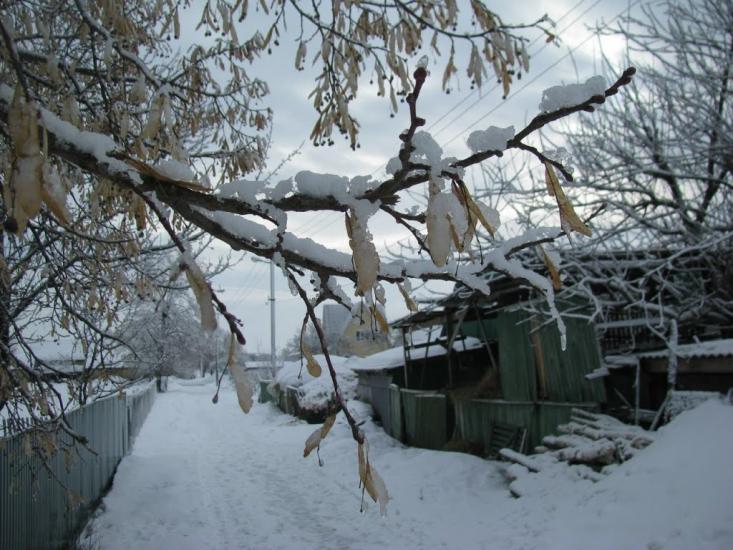 Демидів з panoramio.com - Демидов