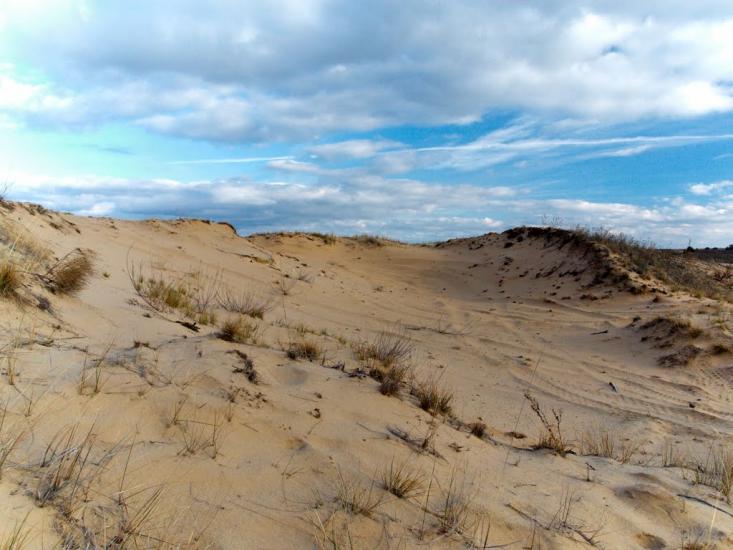 Кицівка з panoramio.com - Кицевка