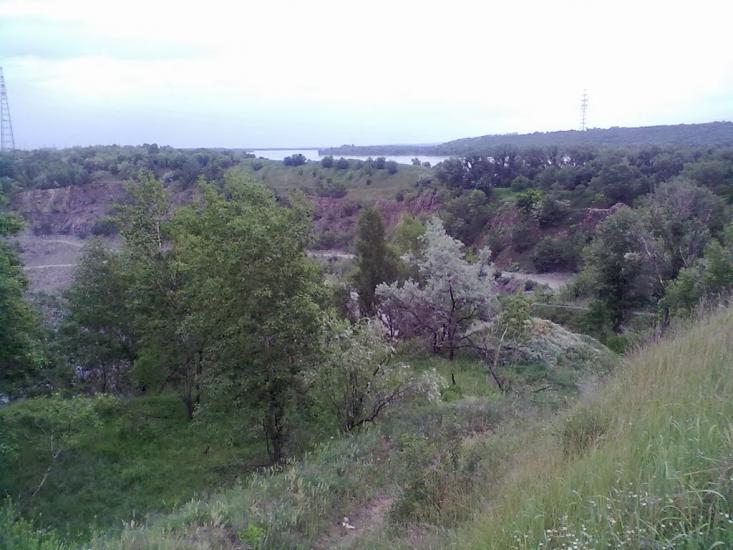 Кам'яні Потоки з panoramio.com - Kamyani Potoky