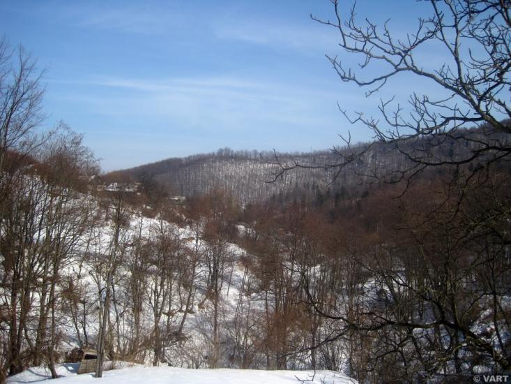 Пасічна з panoramio.com - Пасечная