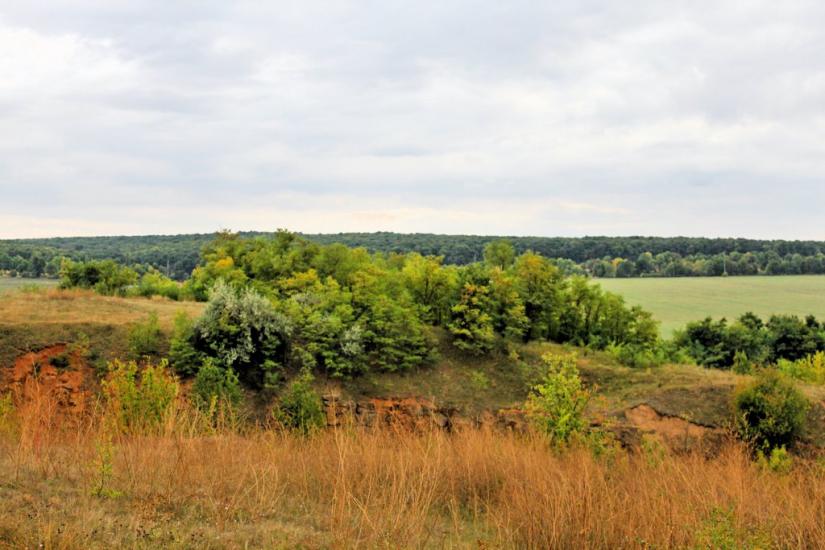 Велика Киріївка з panoramio.com - Большая Киреевка