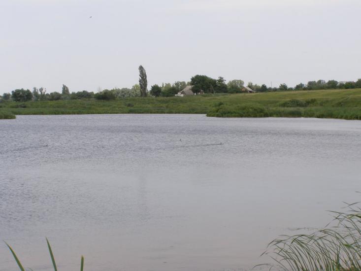 Пінчуки з panoramio.com - Пинчуки