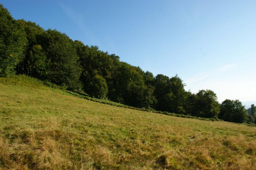 Яблунівка з panoramio.com - Яблоновка