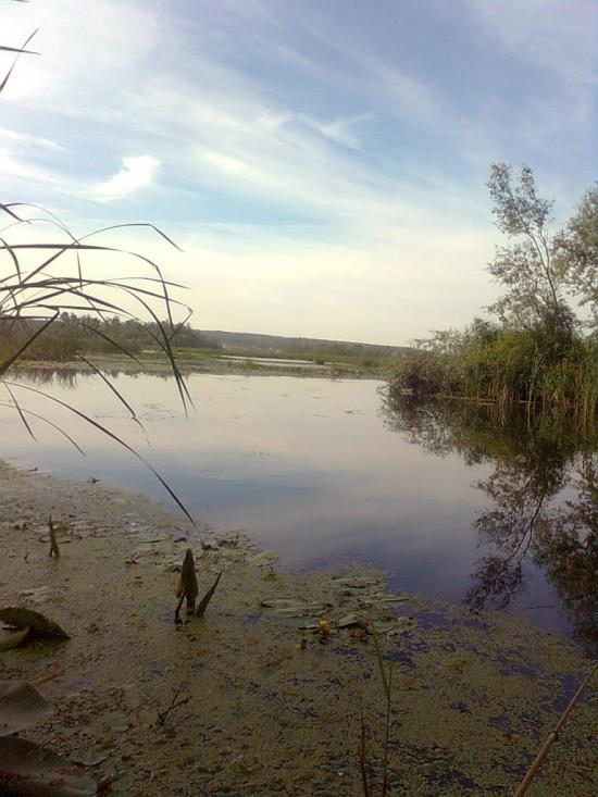 Кам'яні Потоки з panoramio.com - Kamyani Potoky