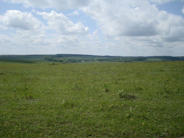 Стуфчинці з panoramio.com - Стуфчинцы
