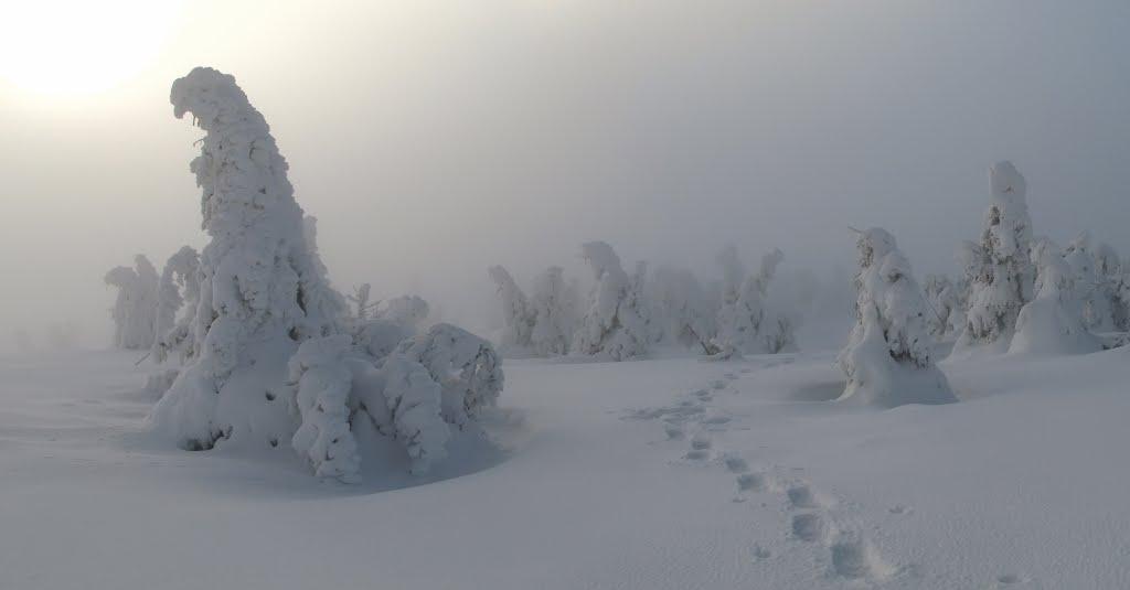 Лопухів з panoramio.com - Лопухов
