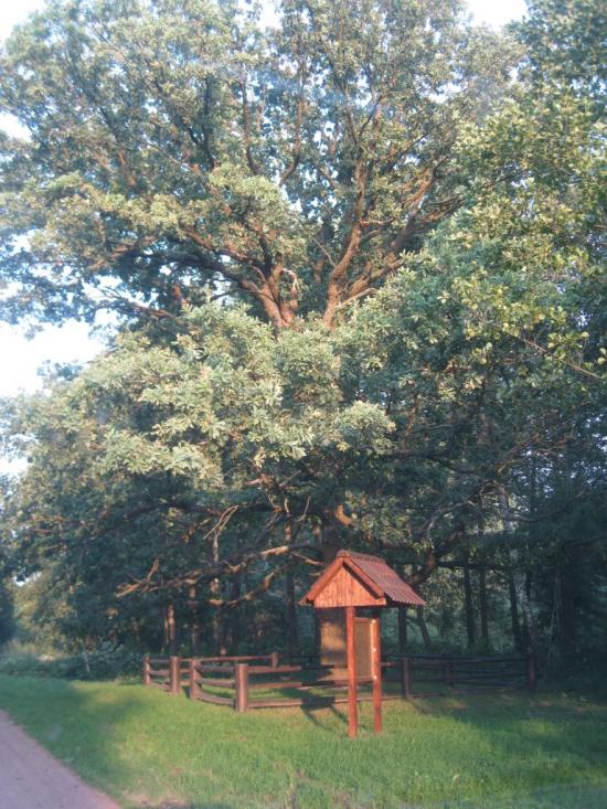 Вишпіль з panoramio.com - Вишпіль