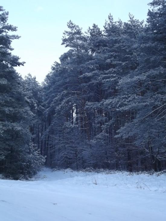 Яворів з panoramio.com - Яворов