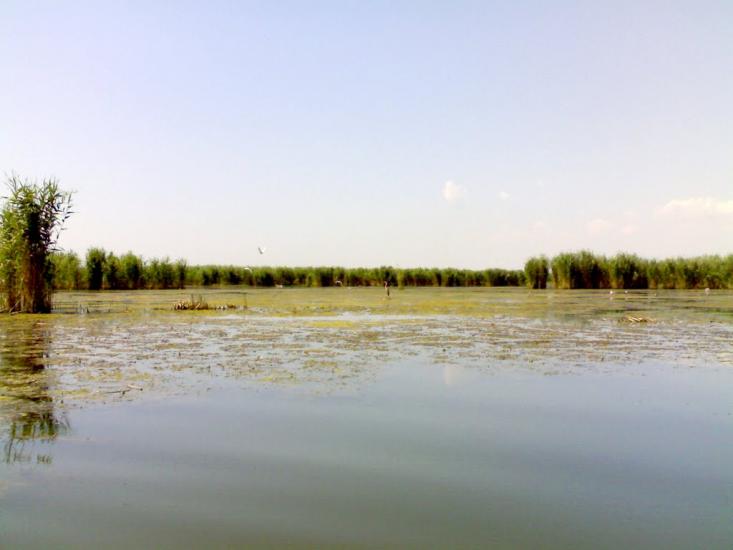 Нова Некрасівка з panoramio.com - Нова Некрасівка