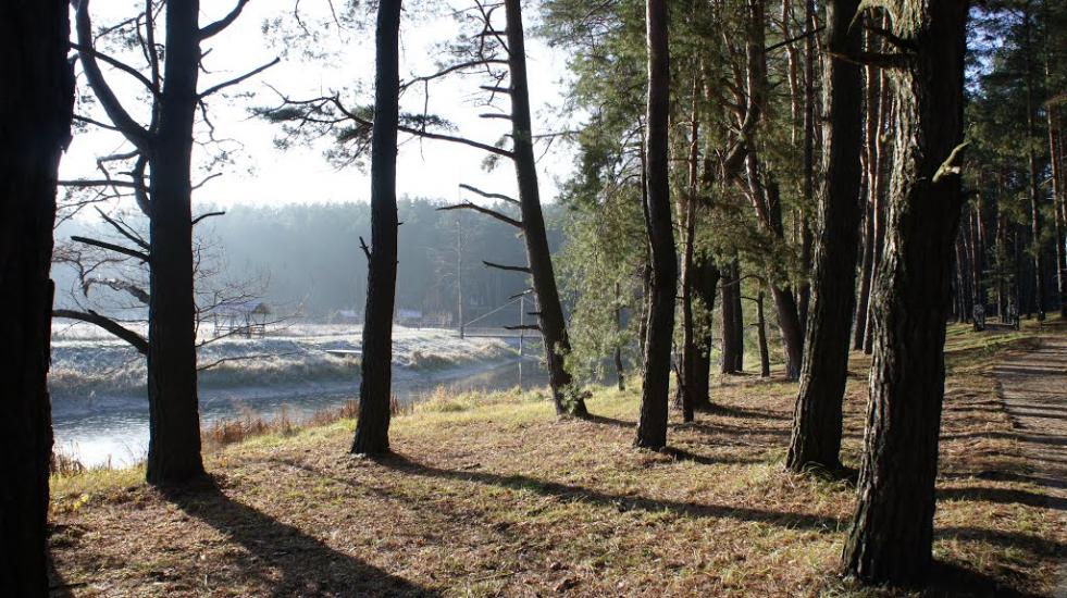 Снов'янка з panoramio.com - Сновянка