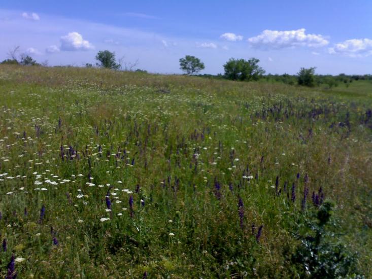 Вигода з panoramio.com - Выгода