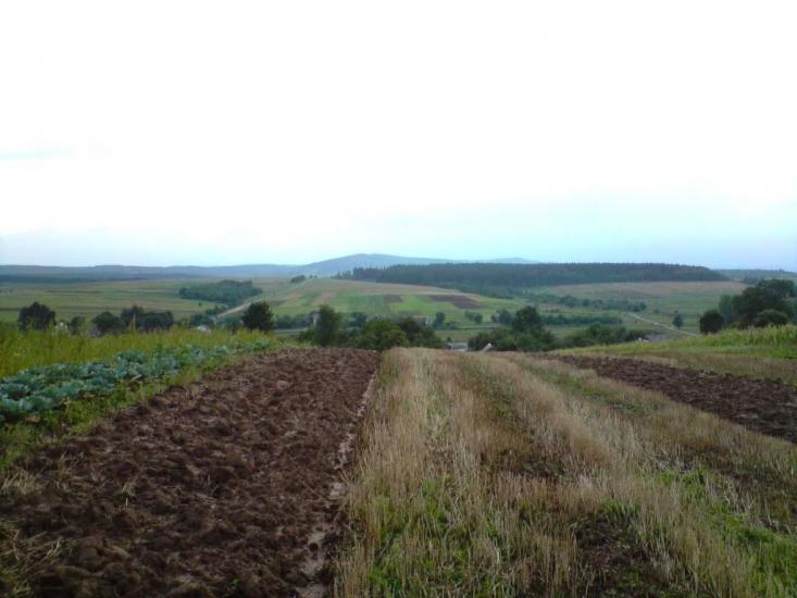 Конів з panoramio.com - Конів