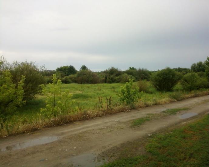 Вишевичі з panoramio.com - Вышевичи