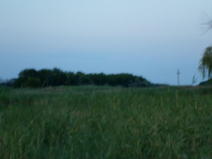 Козацьке з panoramio.com - Козацьке