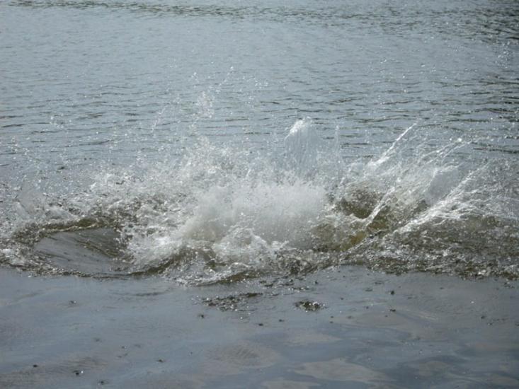 Широке з panoramio.com - Широке