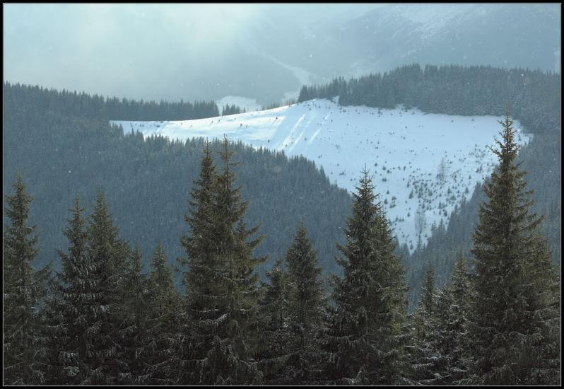Кривопілля з panoramio.com - Кривопілля