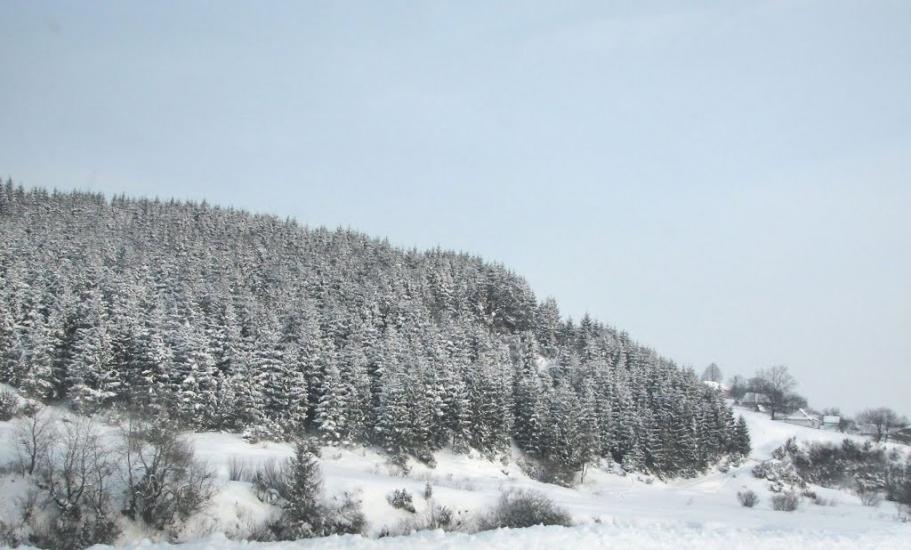 Нижня Яблунька з panoramio.com - Нижня Яблунька