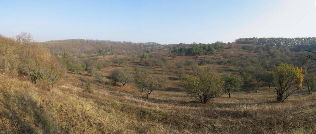 Івангород з panoramio.com - Ивангород