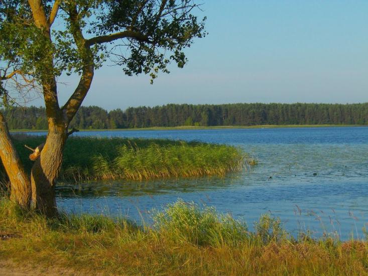 Котира з panoramio.com - Котыра
