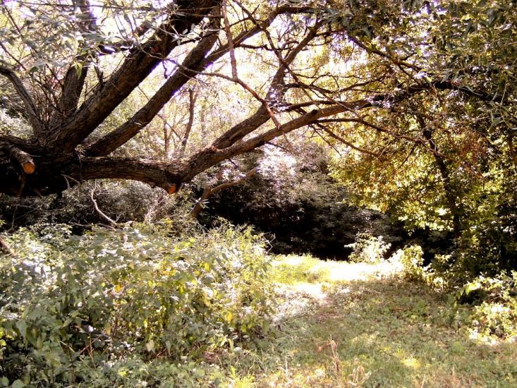 Обозівка з panoramio.com - Обозівка