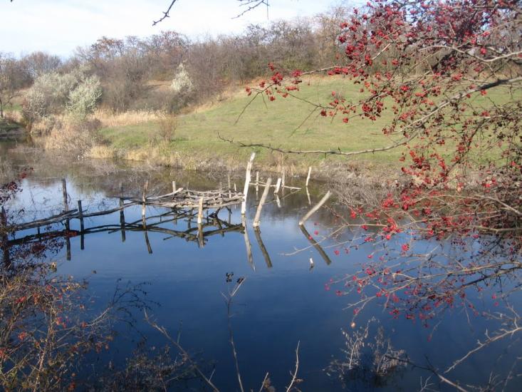 Христофорівка з panoramio.com - Христофоровка