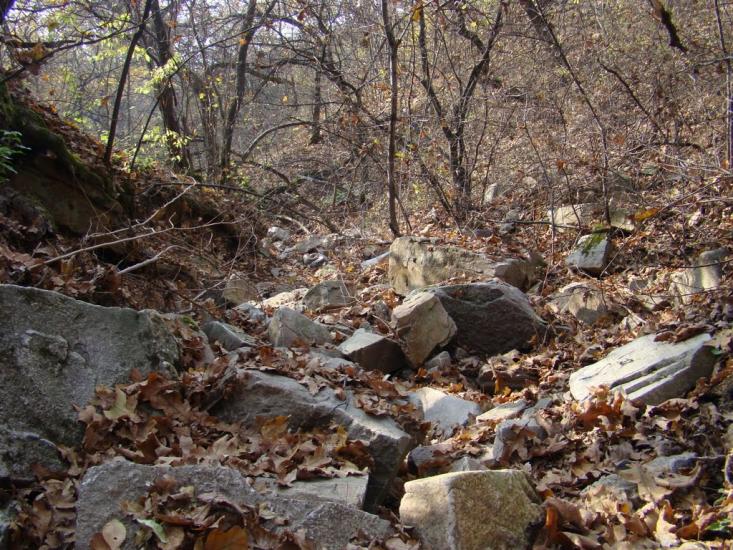 Ясенівський з panoramio.com - Ясенівський