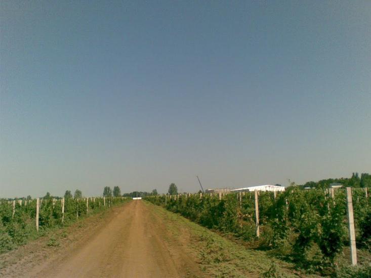 Великодолинське з panoramio.com - Великодолинське