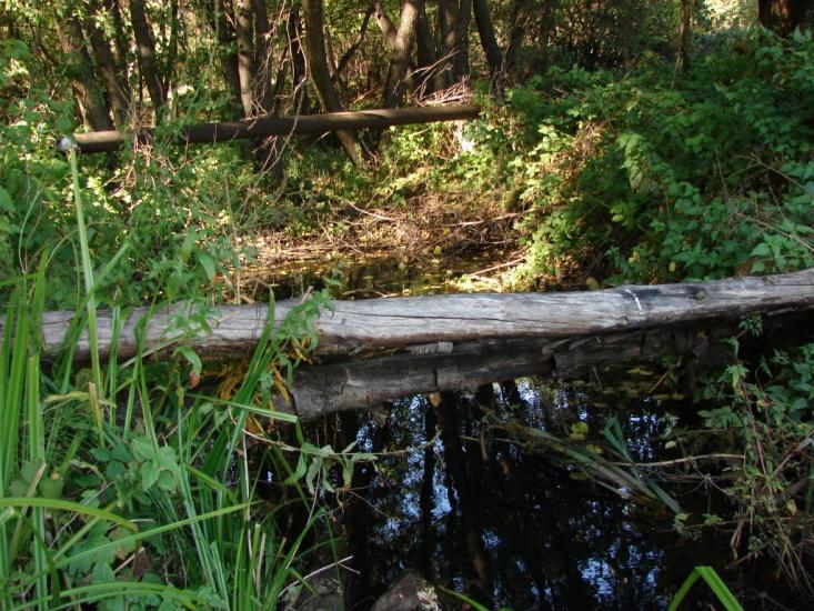 Новоплатонівка з panoramio.com - Новоплатоновка