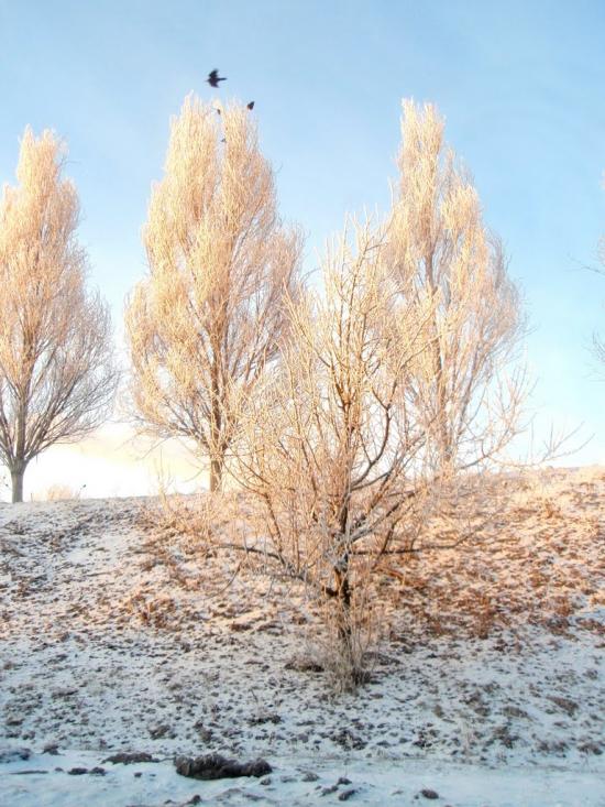 Пологи з panoramio.com - Пологи