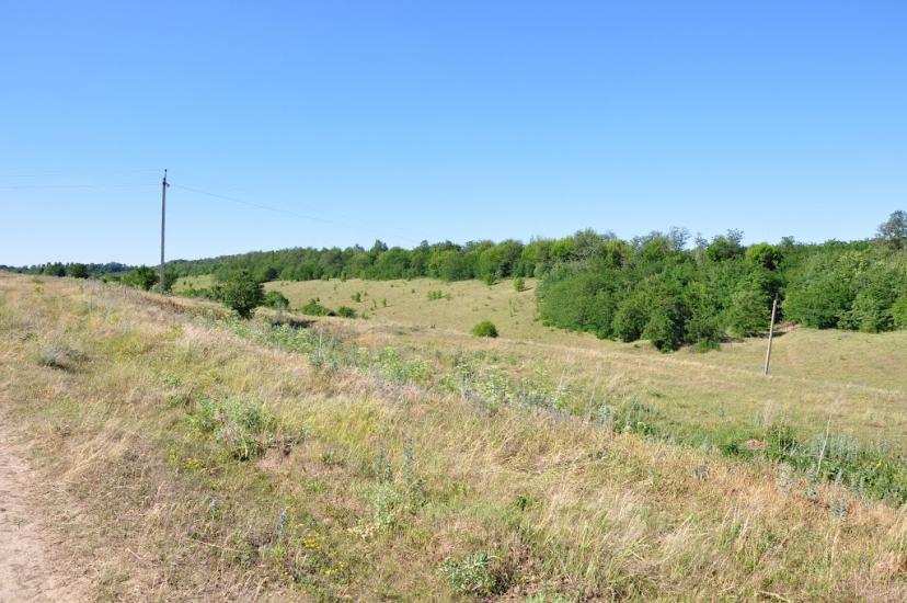 Шарапанівка з panoramio.com - Шарапанівка