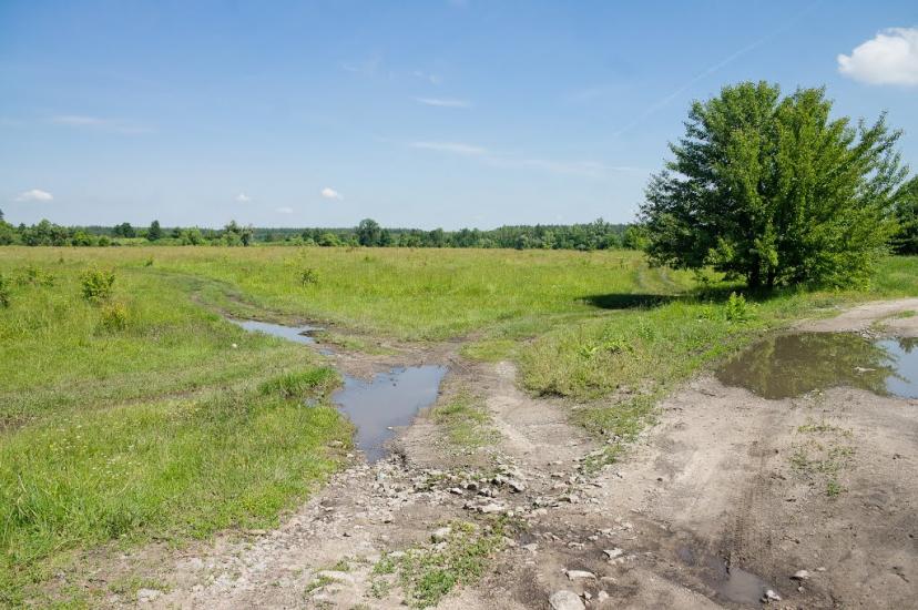 Бушеве з panoramio.com - Бушево