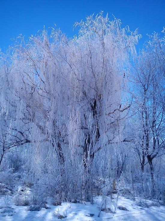 Вугледар з panoramio.com - Вугледар