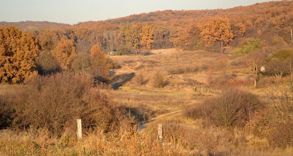 Великий Тростянець з panoramio.com - Великий Тростянець