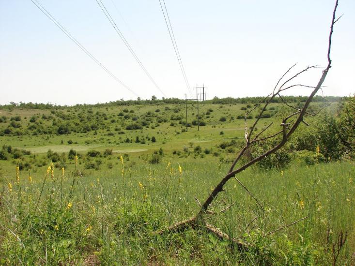 Никанорівка з panoramio.com - Никаноровка