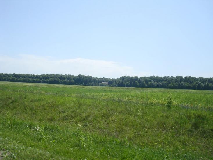 Грузевиця з panoramio.com - Gruzevytsya